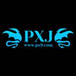 PXJ Profile Picture