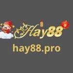 hay88 pro Profile Picture