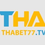 thabet77tv Profile Picture