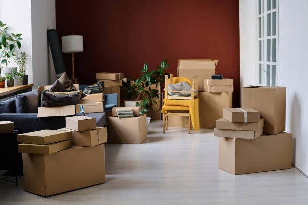 Important Tips for Finding Affordable Packers and ..